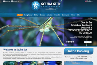 Scuba Sur Diving Network