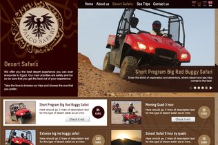 Falco Safari Website