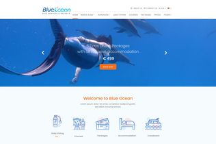 Blue Ocean Website created by Innovix Solutions